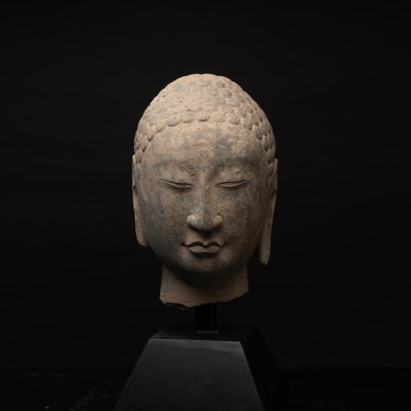Northern Dynasties Stone Head of a Buddha