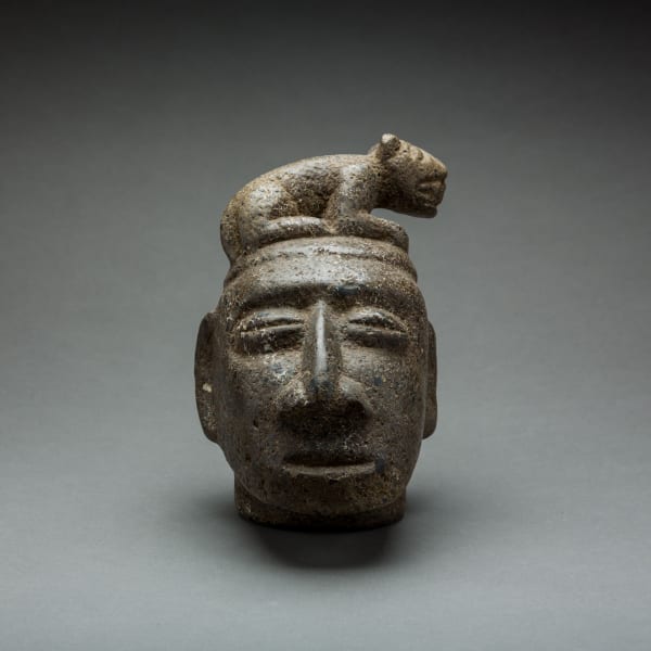 Atlantic Watershed Basalt Trophy Head of a Noble