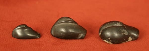 Set of Three Middle/New Kingdom Stone Duck Weights