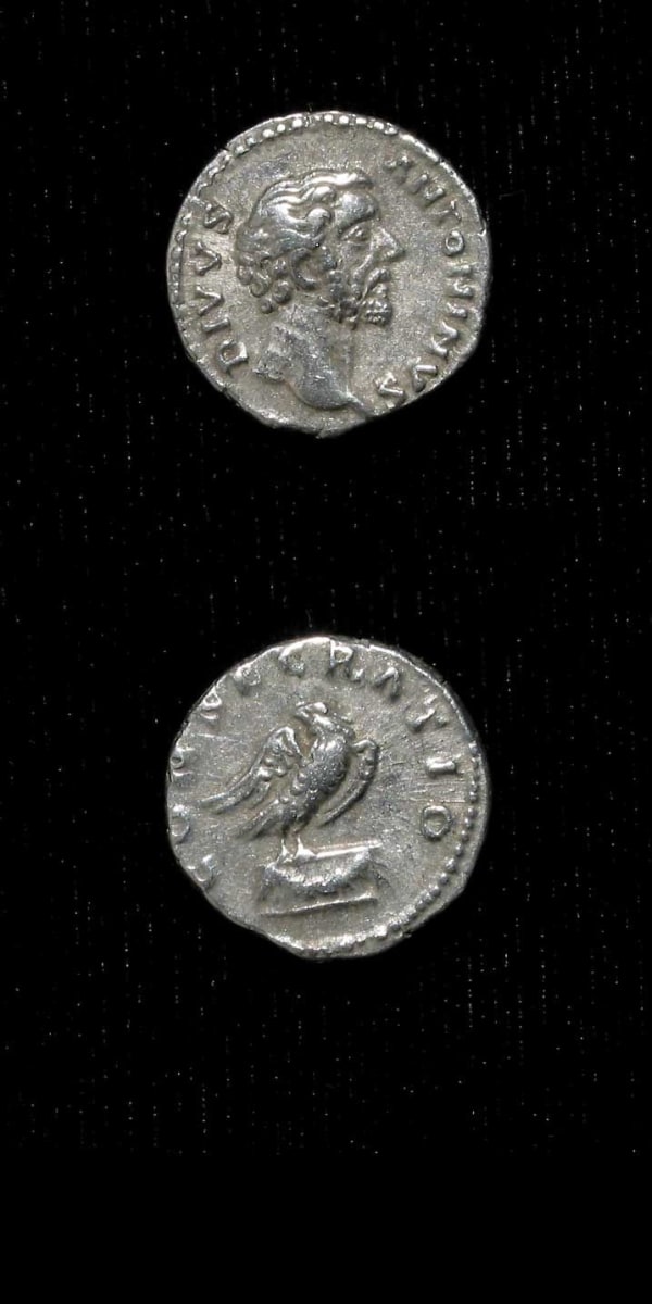 Silver Denarius of Emperor Antoninus Pius Issued Posthumously by Marcus Aurelius and Lucius Verus