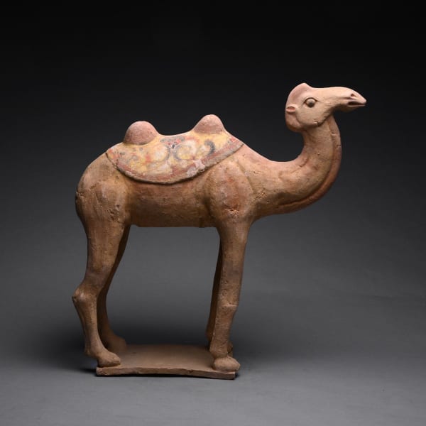 Tang Terracotta Sculpture of a Camel