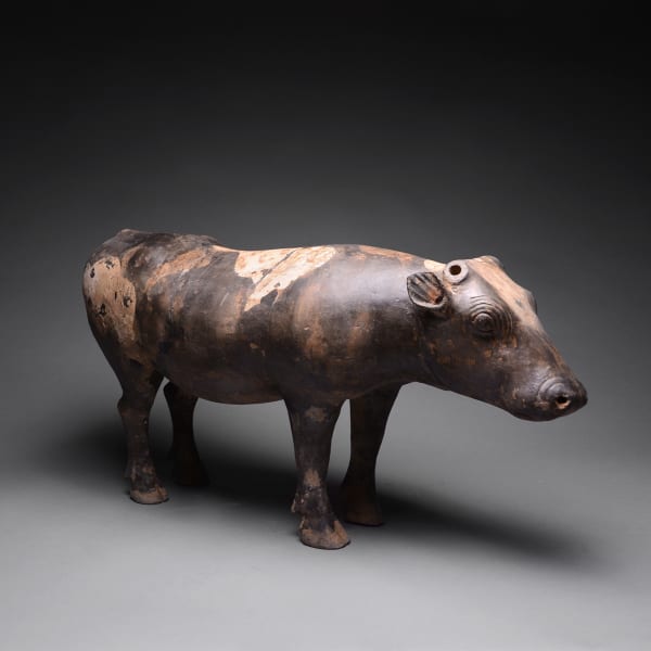 Western Han Terracotta Sculpture of a Spotted Ox