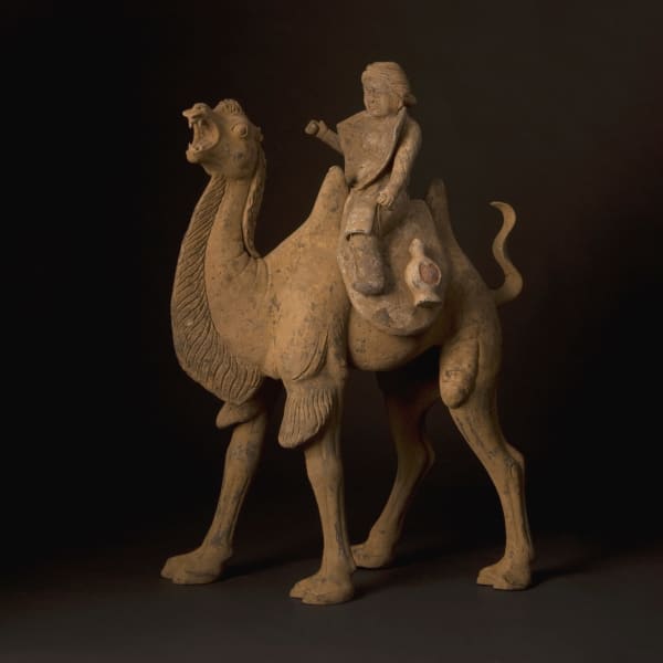 Tang Terracotta Camel and Removable Rider