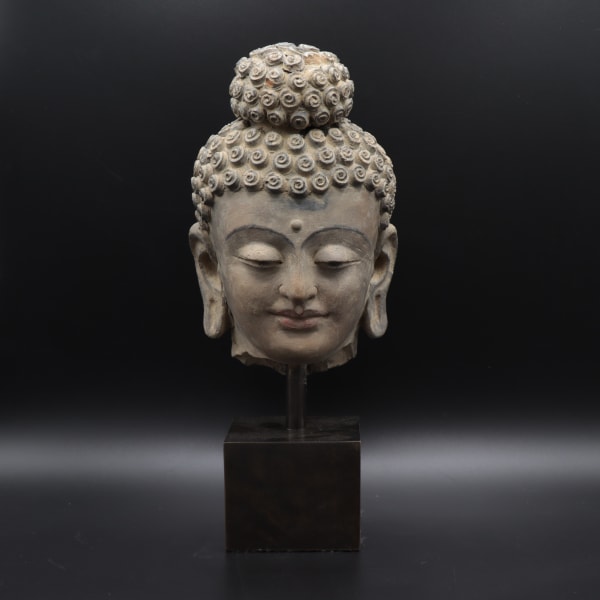Gandharan Stucco Head of the Buddha