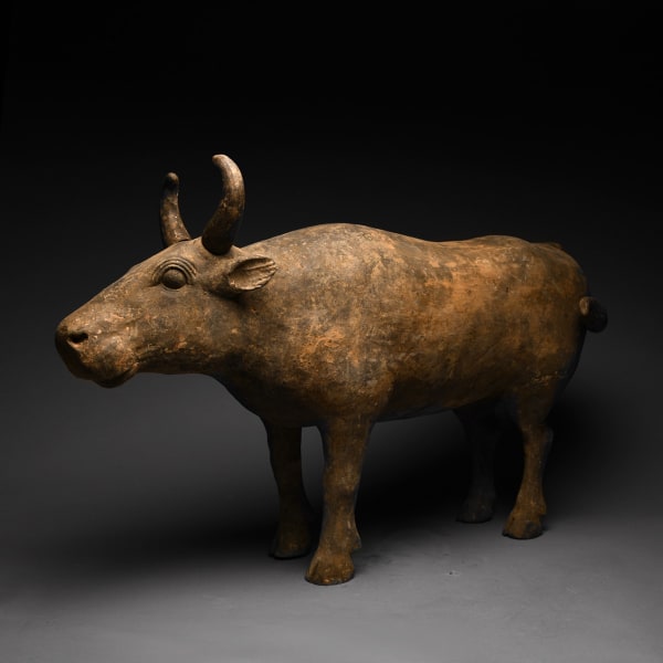 Western Han Terracotta Sculpture of an Ox with Tail and Horns