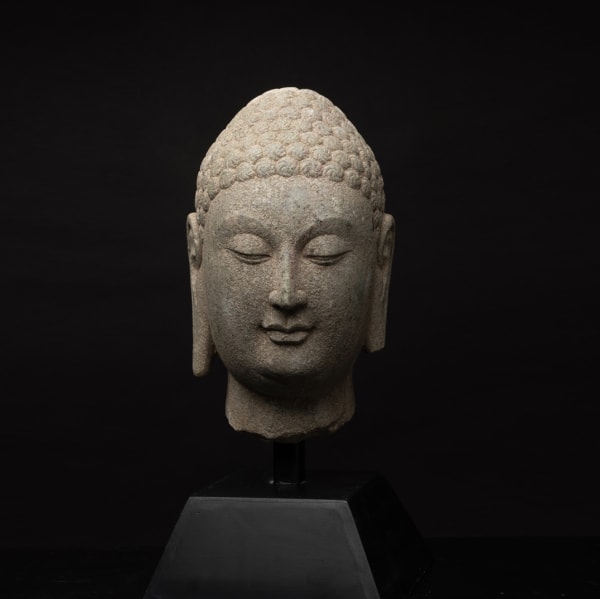 Sui Stone Head of a Buddha