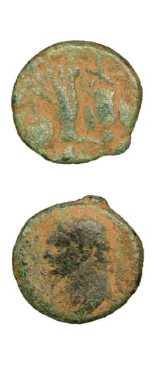 Judea Capta Bronze Coin of Emperor Domitian