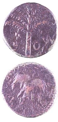 Bronze Coin Minted During the Bar Kochba Revolt
