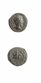 Silver Denarius of Emperor Septimius Severus
