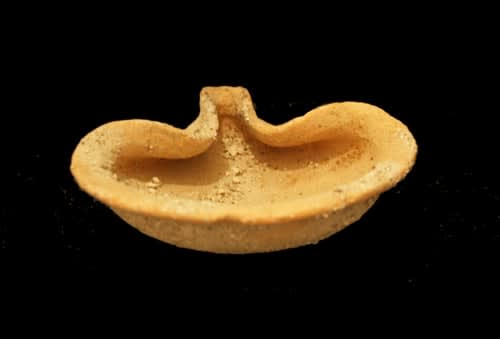 Early Israelite Terracotta Oil Lamp