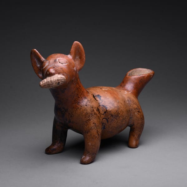 Colima Terracotta Vessel in the Form of a Dog