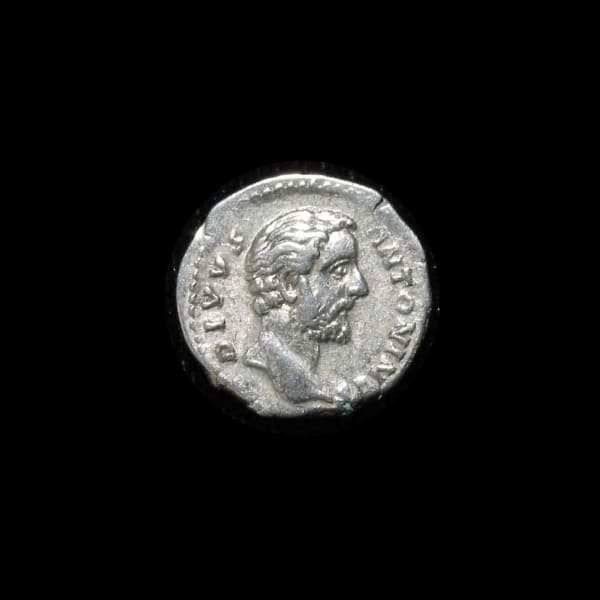 Silver Denarius of Emperor Antoninus Pius Issued Posthumously by Marcus Aurelius and Lucius Verus