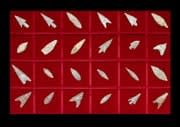 Set of Twenty-Four Neolithic Flint Arrowheads