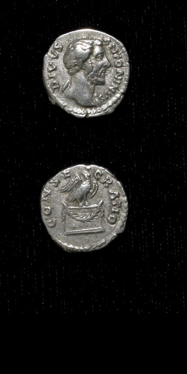 Silver Denarius of Emperor Antoninus Pius Issued Posthumously by Marcus Aurelius and Lucius Verus