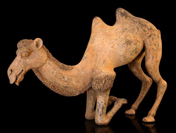 Large Tang Terracotta Sculpture of a Kneeling Camel
