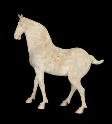 Tang White Painted Pottery Horse
