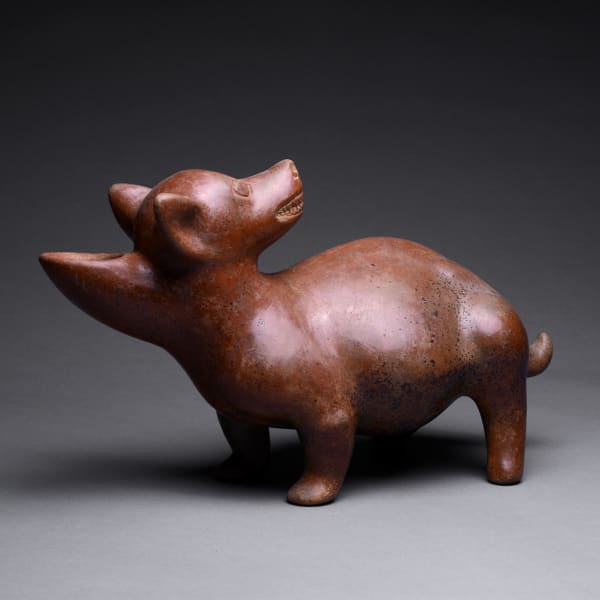 Colima Terracotta Sculpture of a Dog