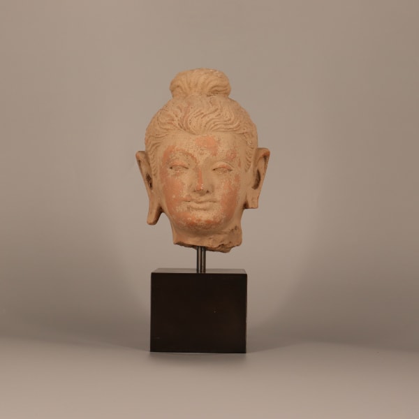 Gandharan Terracotta Buddha Head