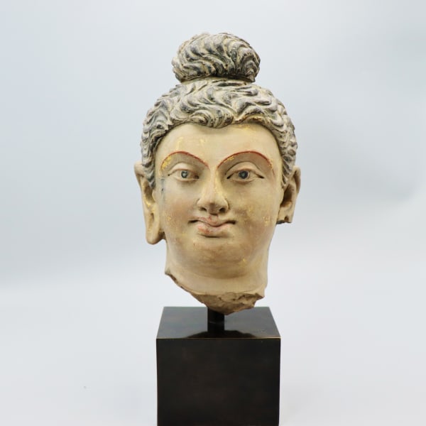 Gandharan Stucco Head of the Buddha