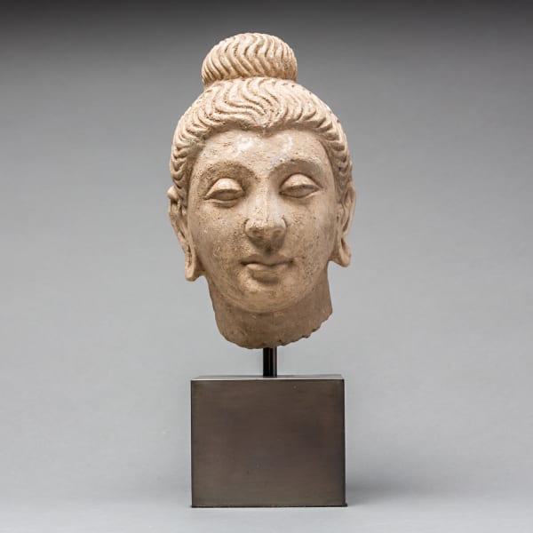 Gandharan Stucco Buddha Head