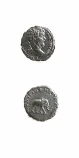 Silver Denarius of Emperor Septimius Severus