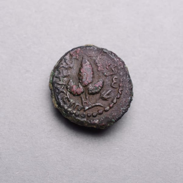 Bronze Coin Minted During the Bar Kochba Revolt