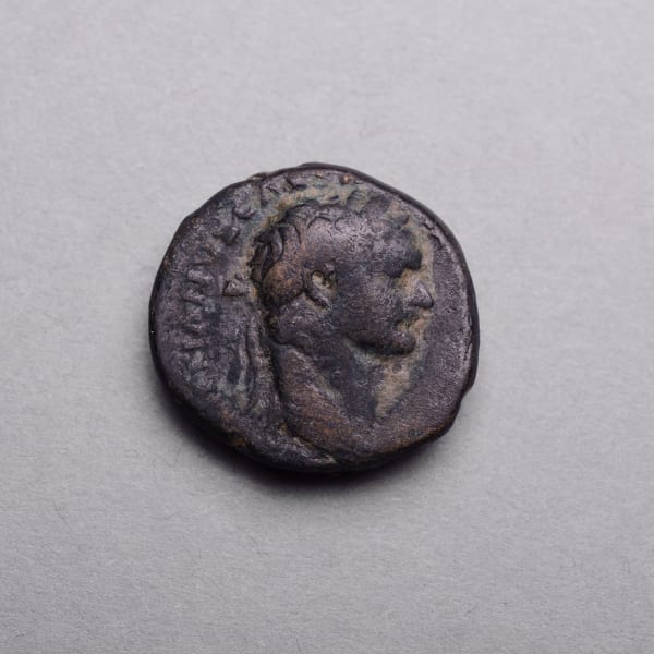 Judaea Capta Bronze Coin of Domitian