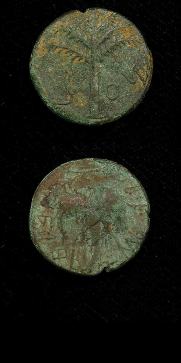 Bronze Coin Minted During the Bar Kochba Revolt