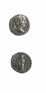 Silver Denarius of Emperor Septimius Severus