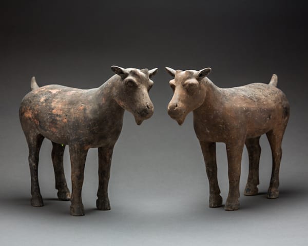Pair of Han Terracotta Goat Sculptures