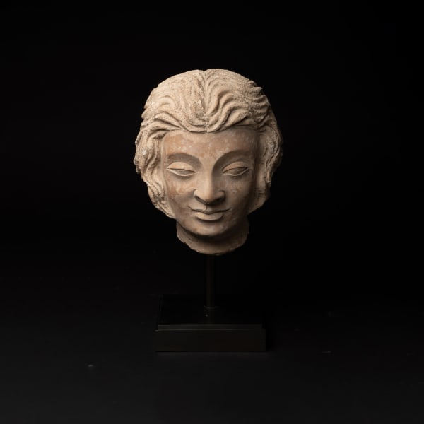 Gandhara Stucco Head