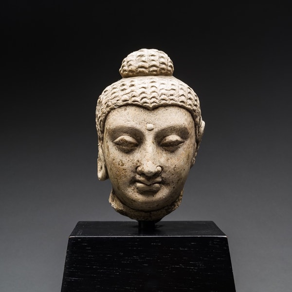 Gandharan Head of the Buddha
