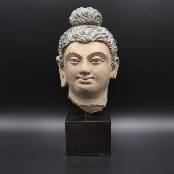 Gandharan Stucco Head of the Buddha