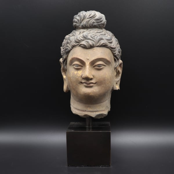 Gandharan Stucco Head of the Buddha