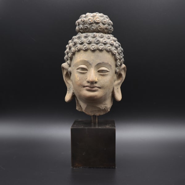 Gandharan Stucco Head of the Buddha