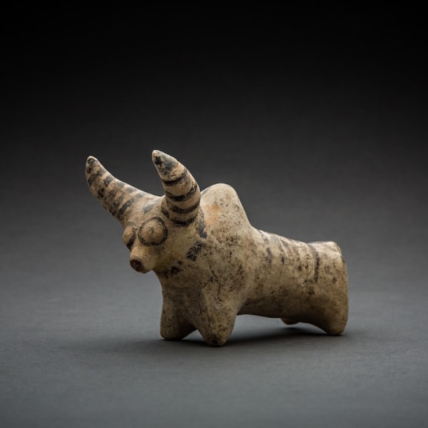 Indus Valley Zebu Bull