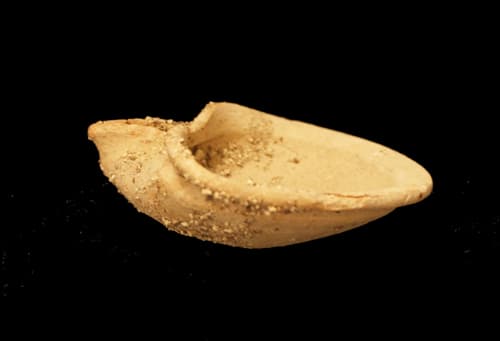 Early Israelite Terracotta Oil Lamp