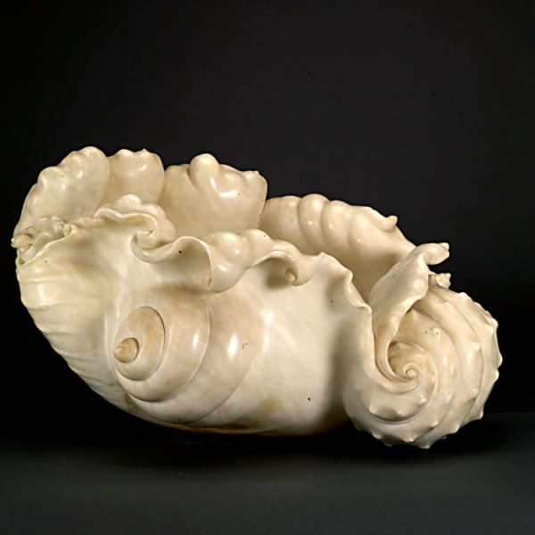 Hellenistic Marble Shell