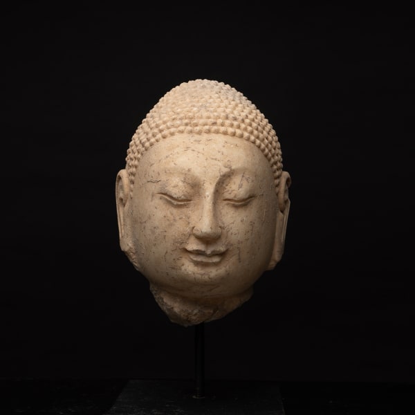 Northern Dynasties Stone Head of a Buddha