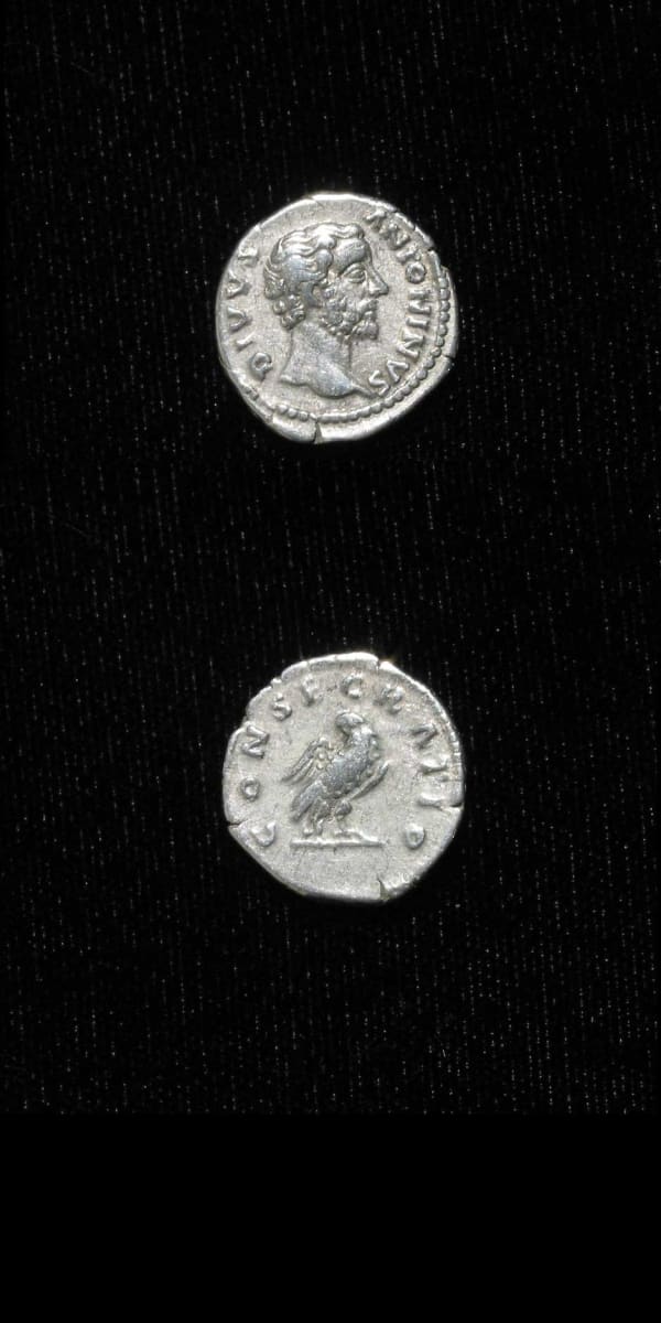 Silver Denarius of Emperor Antoninus Pius Issued Posthumously by Marcus Aurelius and Lucius Verus