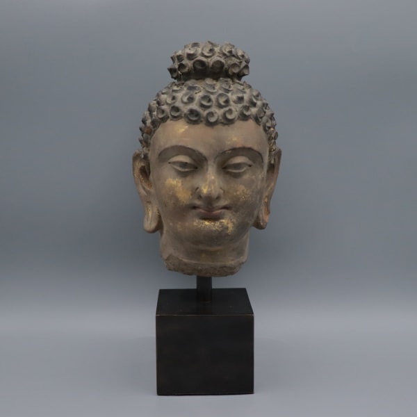 Gandharan Stucco Head of the Buddha