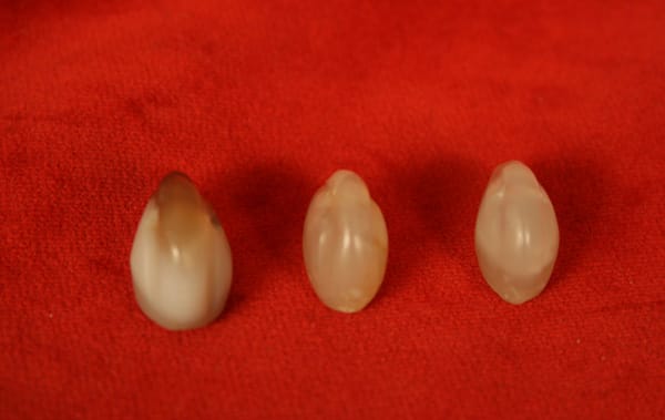 Set of Three Middle/New Kingdom Stone Duck Weights