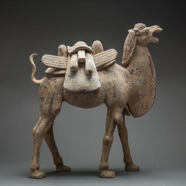 Early Tang Terracotta Camel with Removable Saddle