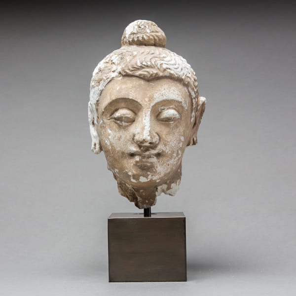 Gandharan Stucco Buddha Head