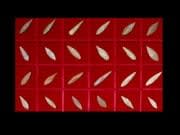 Set of Twenty-Four Neolithic Flint Arrowheads