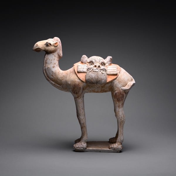 Tang Terracotta Sculpture of a Camel