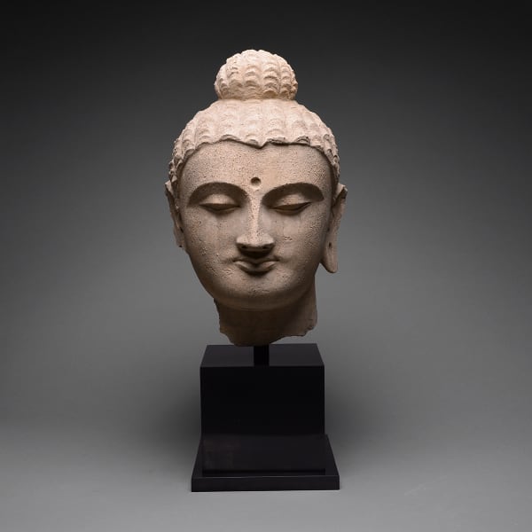Gandhara Stucco Head of the Buddha