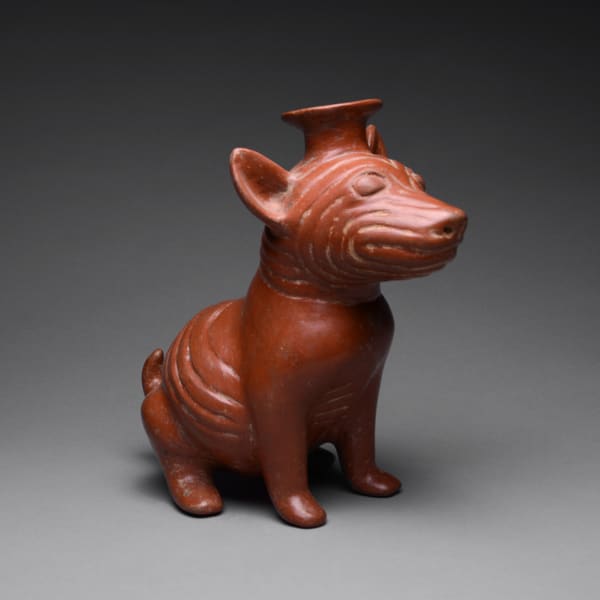 Colima Vessel in the Form of a Seated Dog