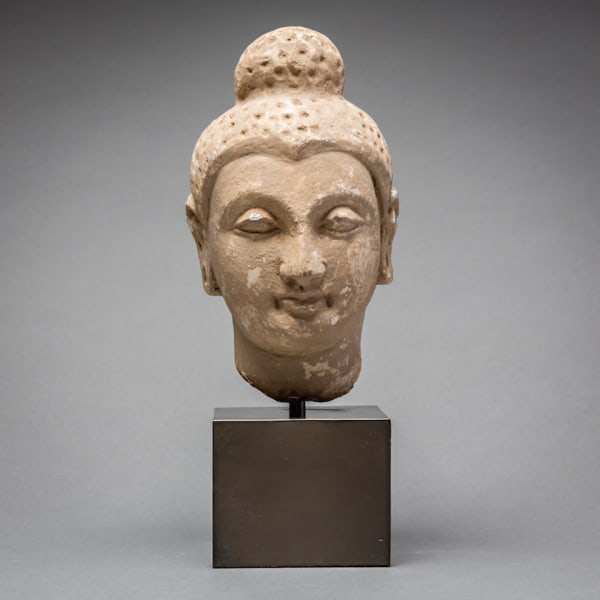 Gandharan Stucco Buddha Head