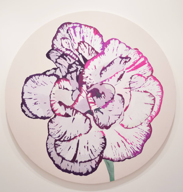 Joe Mancuso, Carnation, 2016